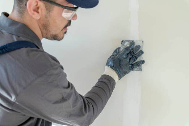  , USA Mold Removal Pros